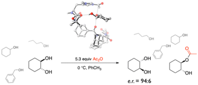 Lipophilic oligopeptides