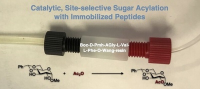 Acylation of Pyranosides