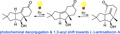 Org_Acyl Shift