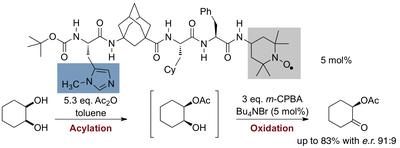 Multicatalysis