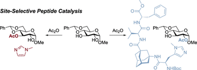 Pyranosides_2021