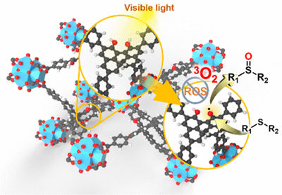 Org_Visible Light