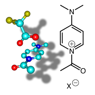 Structural Analyses of N-Acetyl DMAP Salts