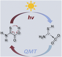 Equilibrating Parent Aminomercaptocarbene