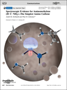 Frontispiece_Spectroscopic Evidence for Aminomethylene