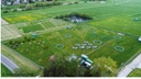 Experimentelle Pflanzenökologie