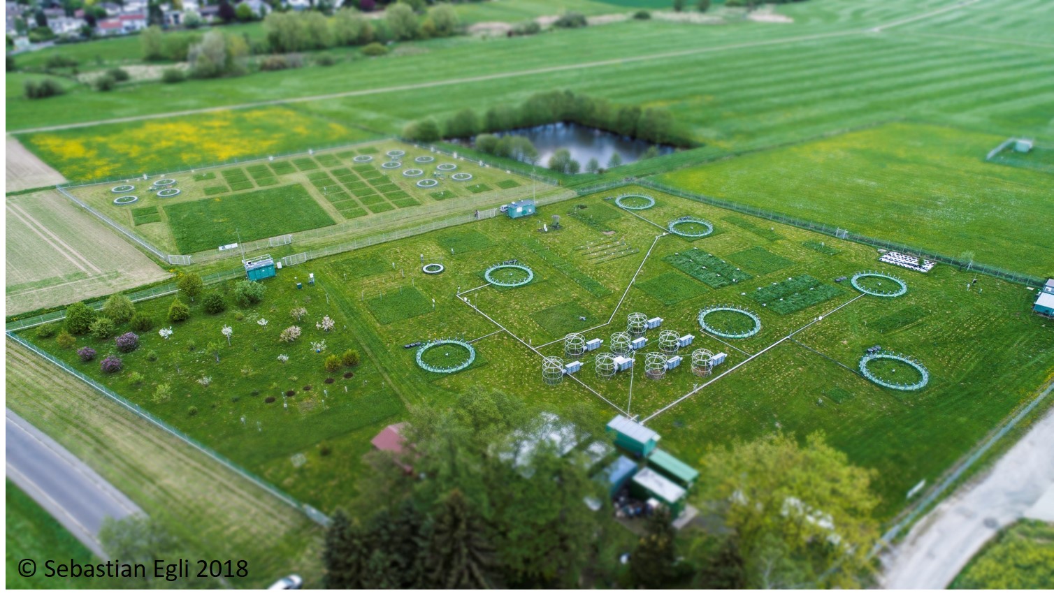 Experimentelle Pflanzenökologie
