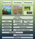 Forschung