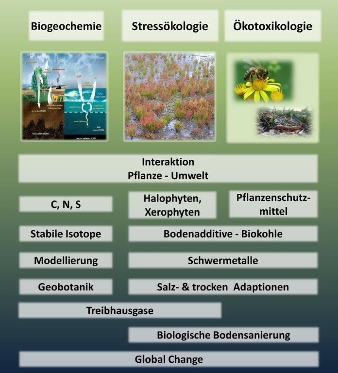 Forschung