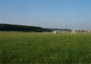 Bild-3.jpg