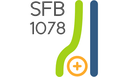 sfb