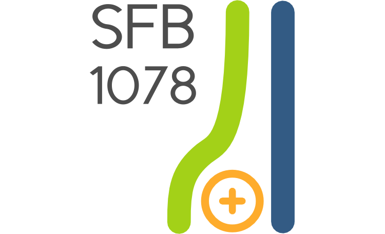 sfb
