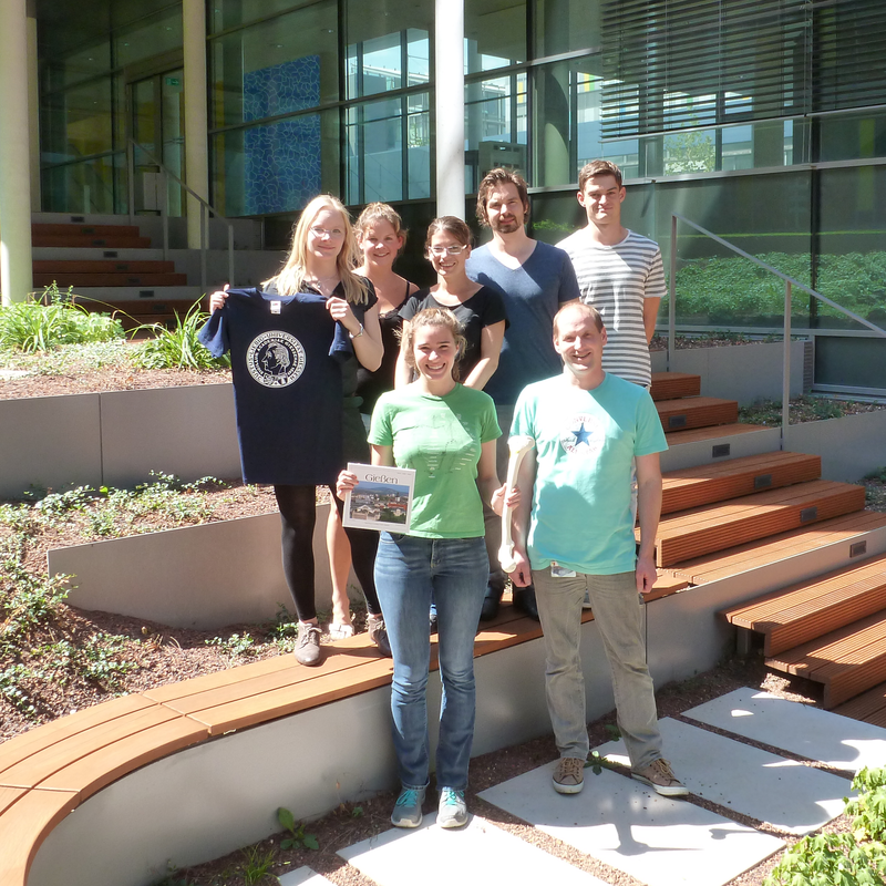 Team of the Group "Biomaterials & Plasmas"