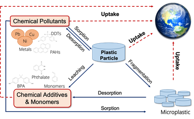 Scheme pollutants and plastics