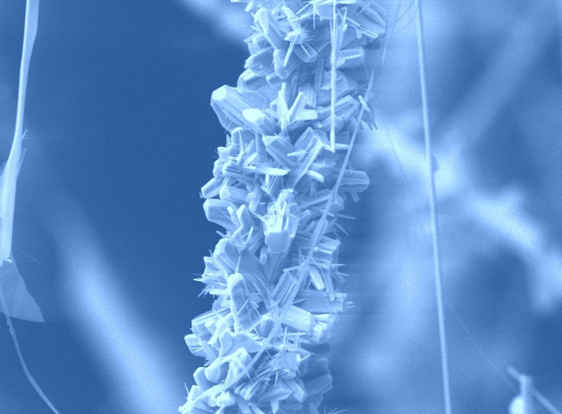 November 2007