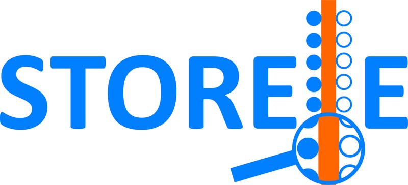 Logo Store-E
