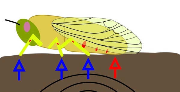 AV RS Graphical abstract.jpg