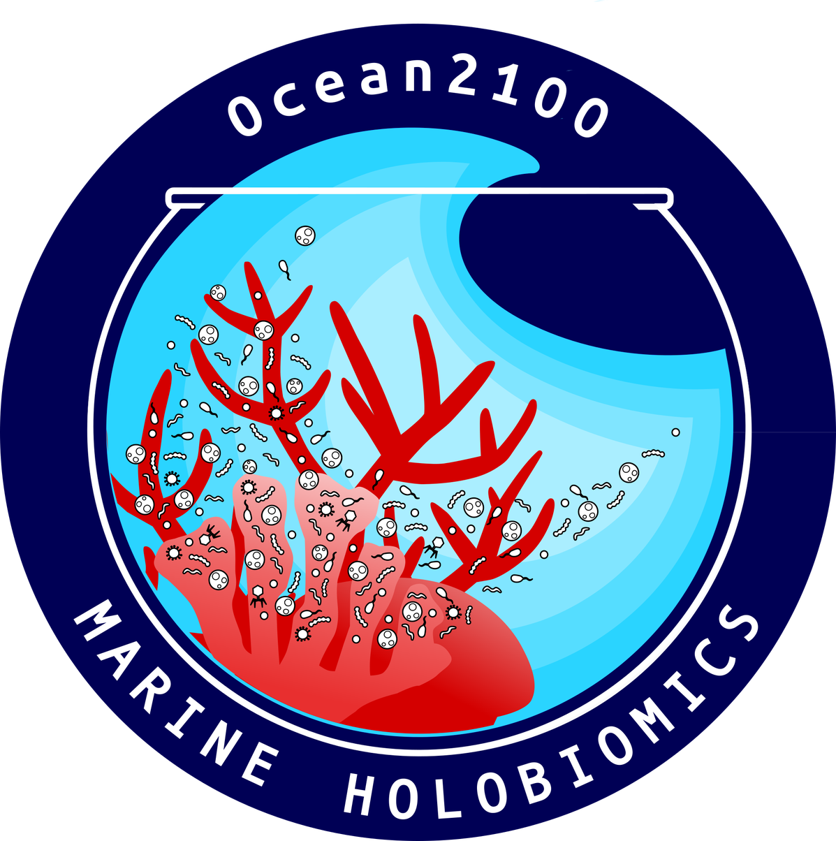 MarineHolob_color_4_210624.png