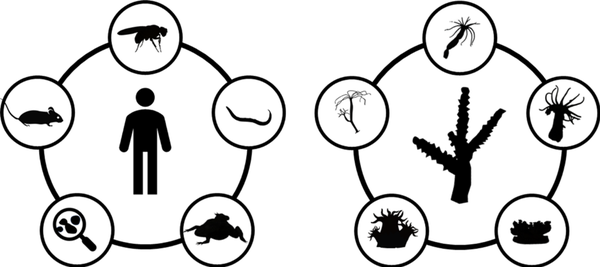 image-1000-f13344745e9ca41395c140ceb62be6d5-3.png