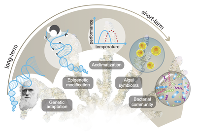Microbiome Flexibility