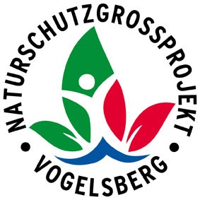 NGP-VB logo