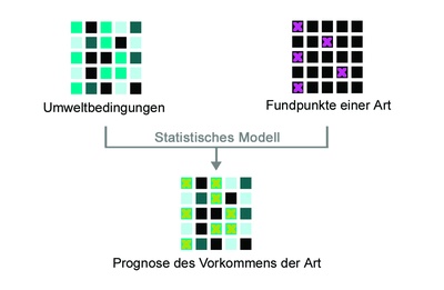 Modellierung
