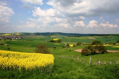 landschaft