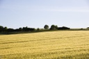 AgLandscape
