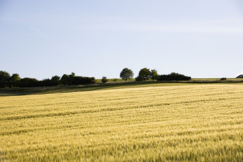 AgLandscape