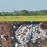 Bodenökologie-Bild