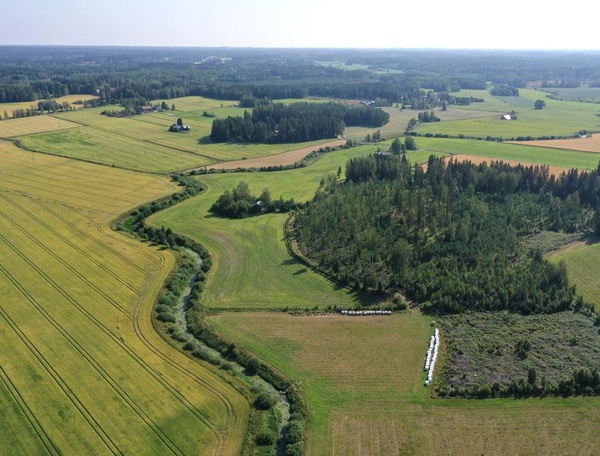Landwirtschaftliche Landschaft