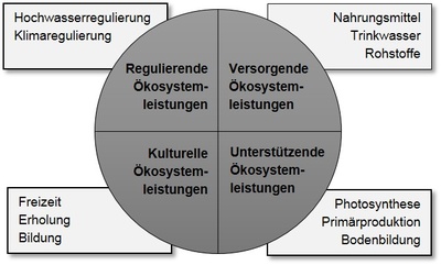 Ökosystemleistungen Ökosystemleistungen
