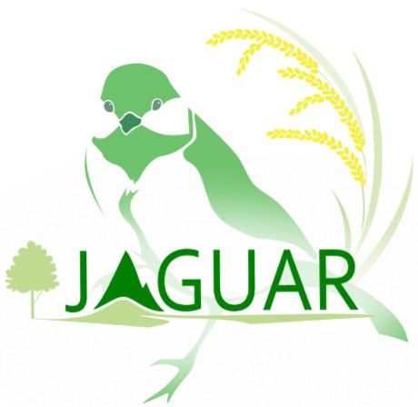 Jaguar_Logo_aktuell