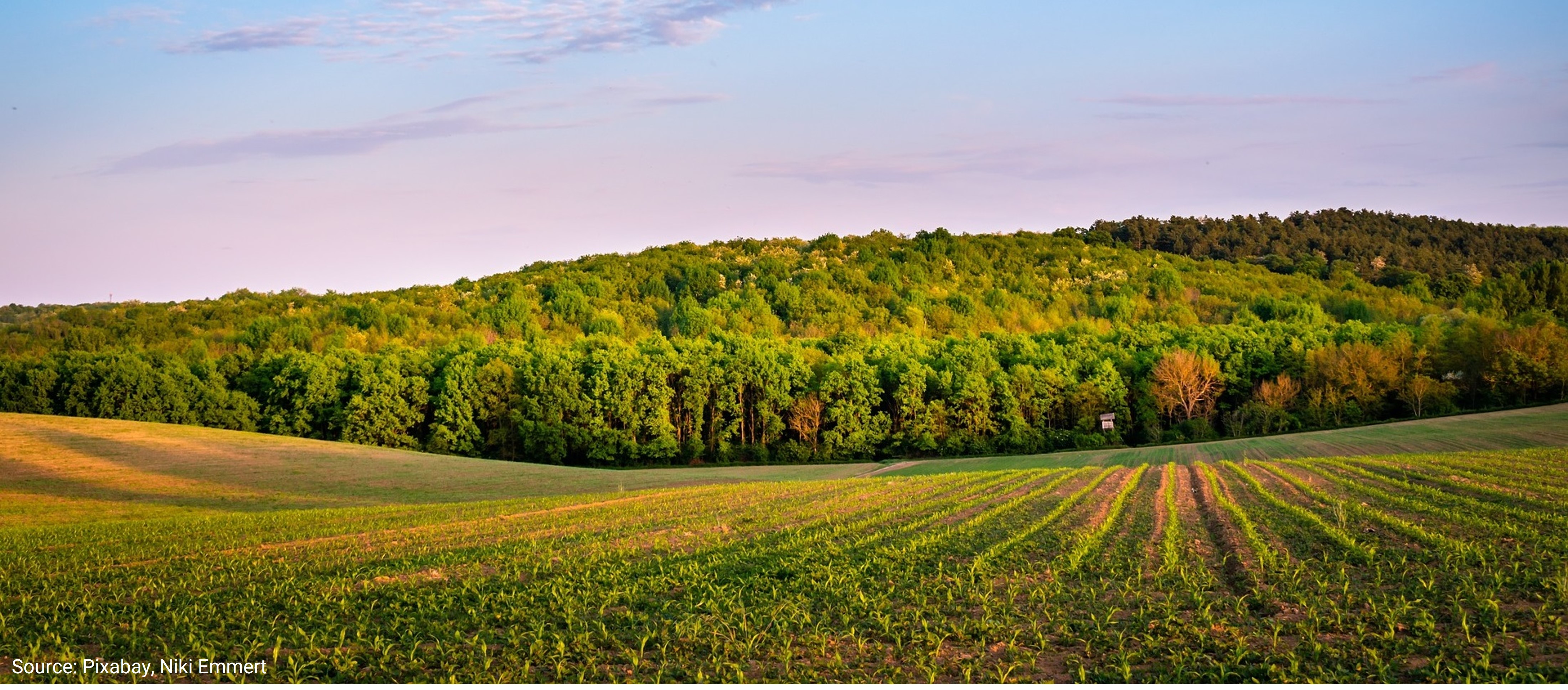 Landwirtschaft
