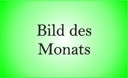Bild des Monats