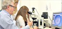 Biologie studieren in Gießen
