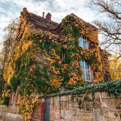 Grünes Haus