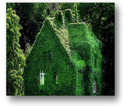 Grünes Haus.png