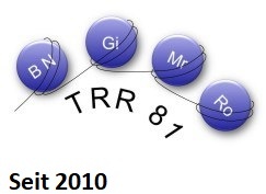 Logo TRR81