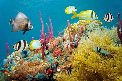 Fotolia_60153429_XS.jpg