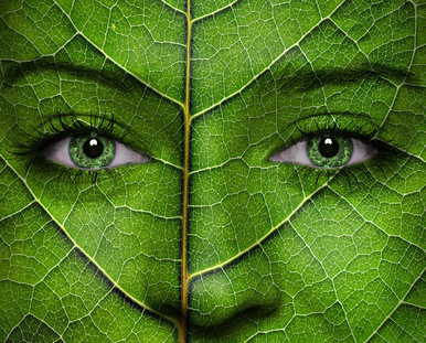 Fotolia_52598599_XS.jpg
