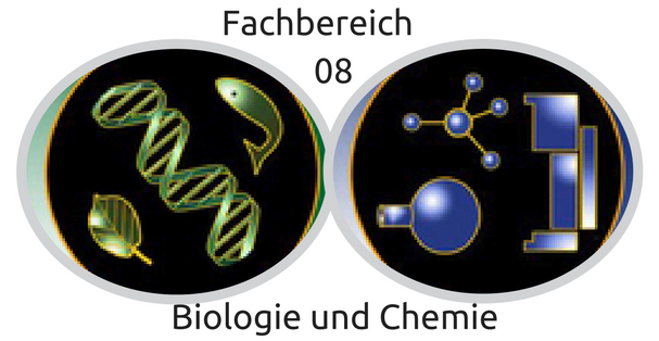 FB Logo neu