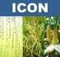 ICON.jpg