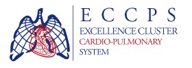 ECCPS