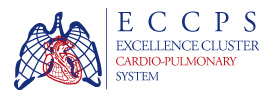 ECCPS