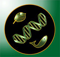 fh_logo_bio.png