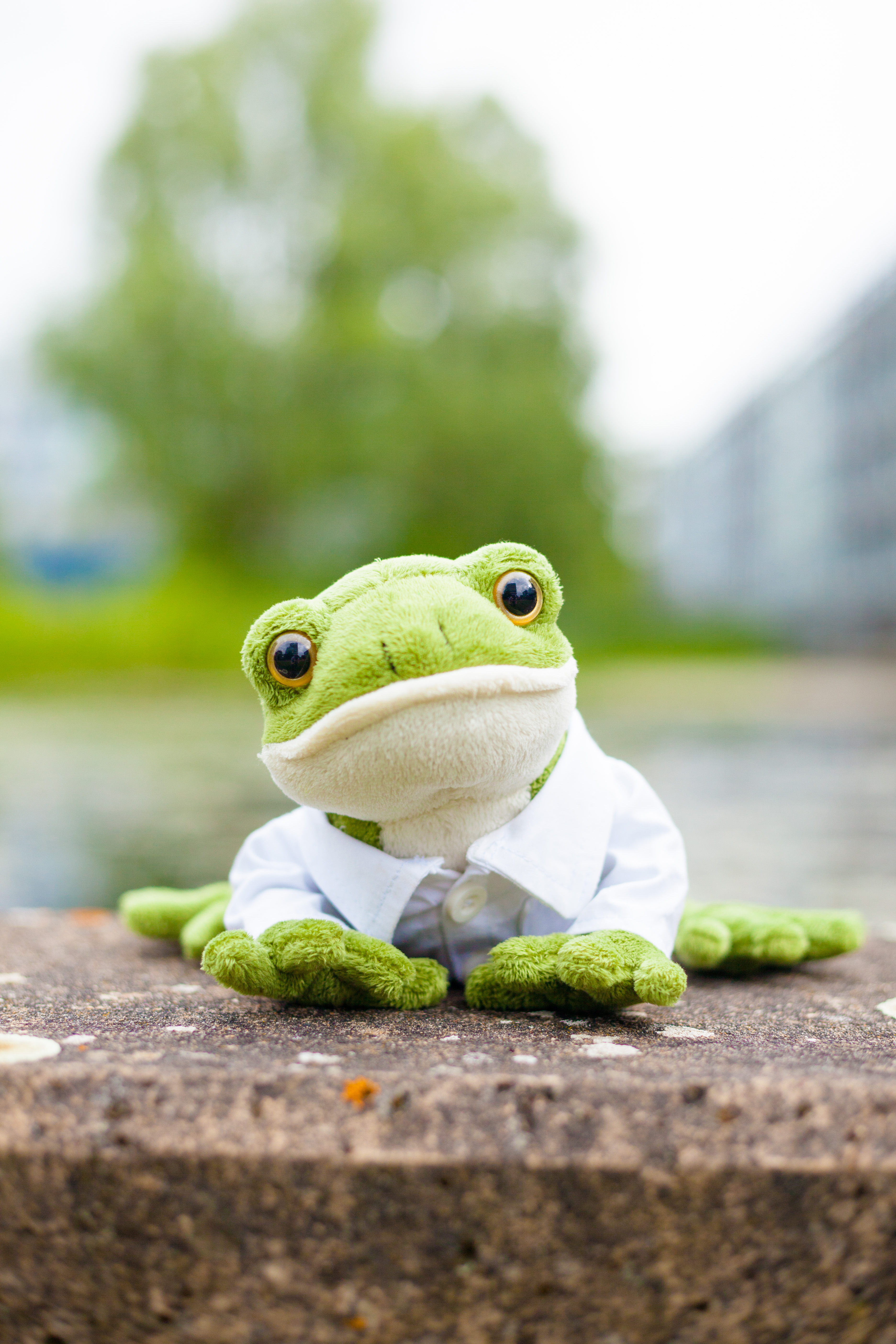 Norbert_2024.jpg