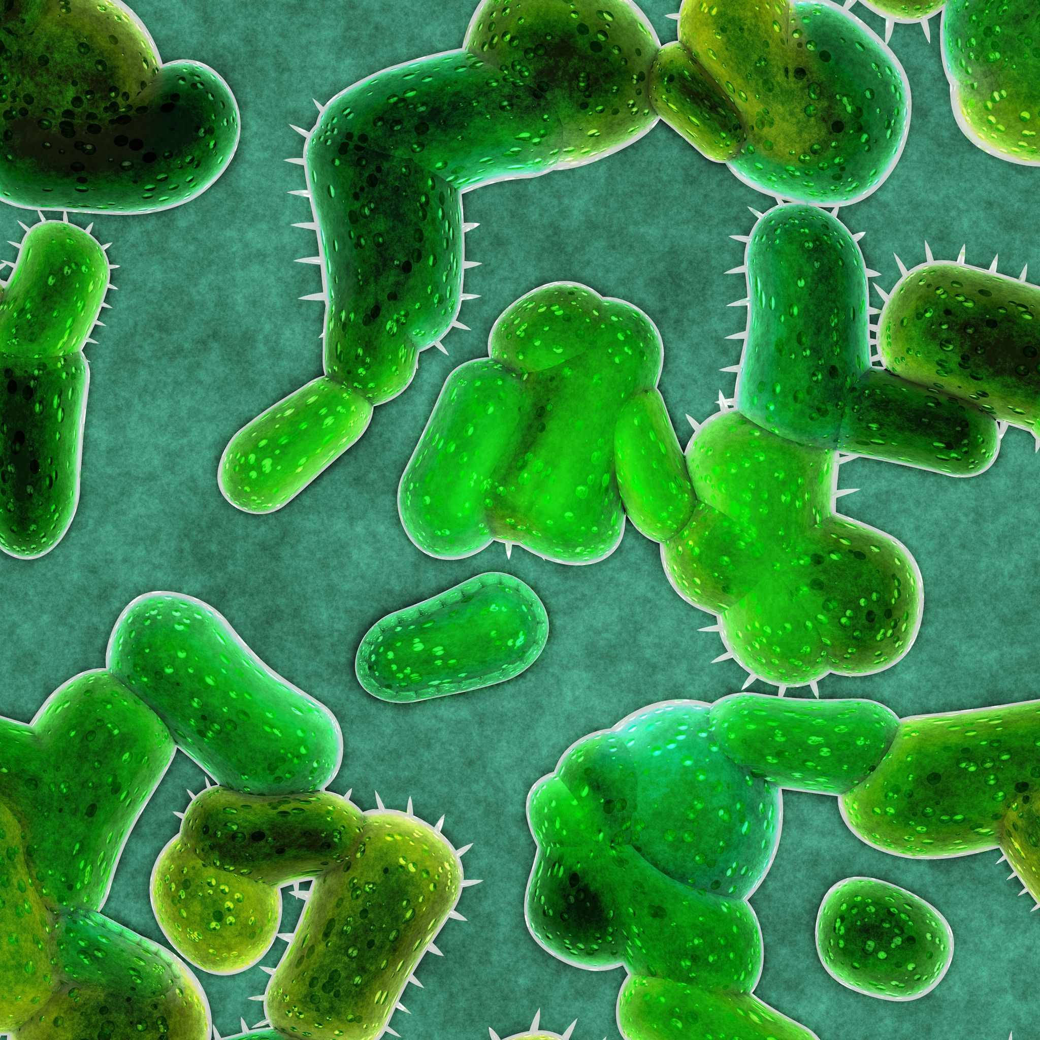 BSc-Biologie-italianphoto-123rf.com.jpg