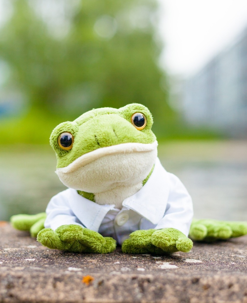 Norbert.jpeg