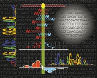 Bioinformatics_Theme